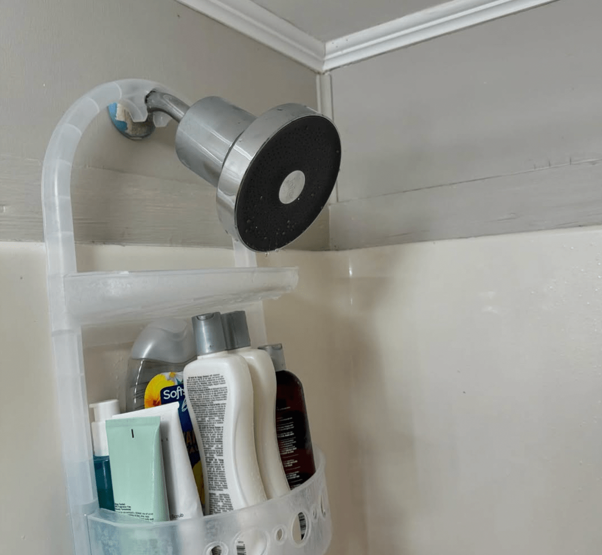 Screen Shot 2024-11-23 at 2.06.54 PM Screen Shot 2024-11-23 at 2.06.54 PM